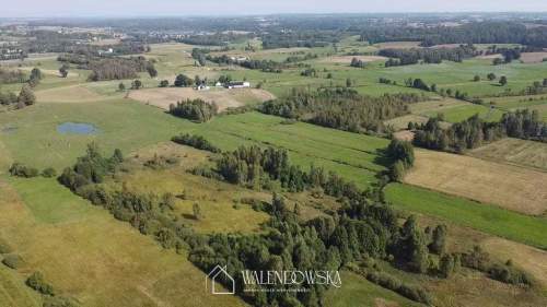 działka rolna 2,22 ha - Gowidlino, pow. kartuski