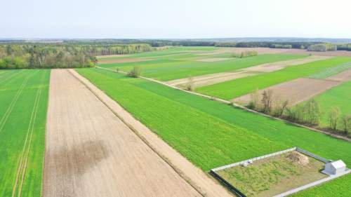 Działki w atrakcyjnych cenach blisko natury
