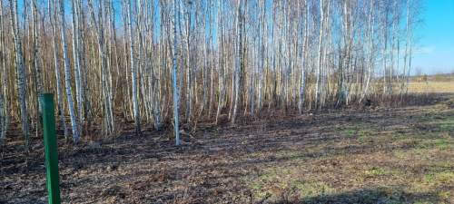Działka budowlana na sprzedaż, 1300 m2, Walendów