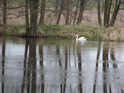 Działka nad rzeką Narew w miejscowości Gzowo