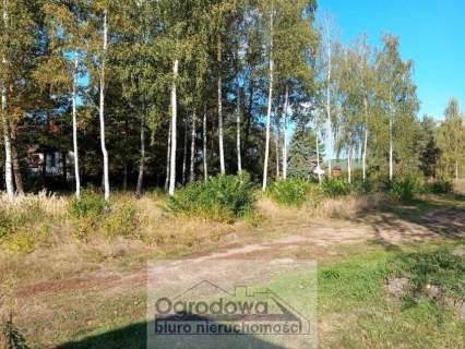 Kilka działek budowlanych - Załubice