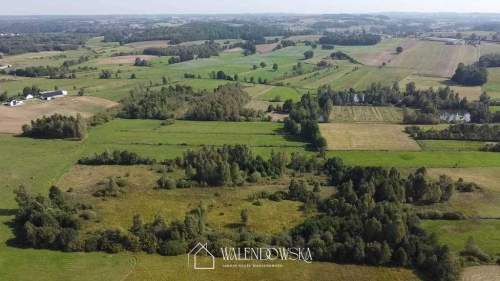działka rolna 2,22 ha - Gowidlino, pow. kartuski