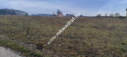 Podział 4 działek 8264m Tłumy gm Mszczów MPZP 3MN