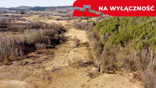 Działka budowlano-rolna 62 ar OŁPINY 