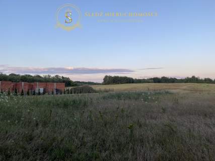 Działka 1192 m2 Las Za Płotem 