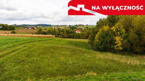 Działka Lichwinie. Rolno-leśna,   Nowa Cena   