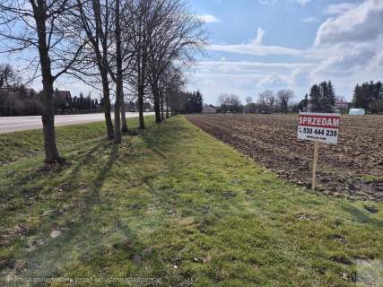 Działki inwestycyjne w Orłach pod usługi