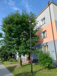 2 pokoje 45 m centrum Rejowiec Fabryczny niski czynsz