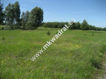 Działka rolna na sprzedaż, 2000 m2, Grzegorzewice
