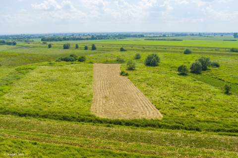 Działka rolna- Zaborów- Brzesko-Małopolska