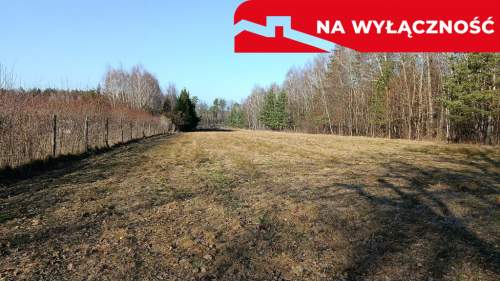 Działka budowlano-rolna 90 ar, Krzywe.