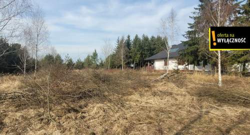 Samsonów   duża działka 0,5 ha, media w drodze