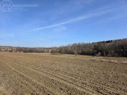 UROKLIWA DZIALKA 1,10 HA W JODŁOWEJ - OTOCZONA NATURĄ, Z P
