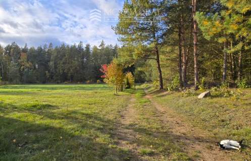 Kwintesencja Podlasia w otulinie Puszczy Knyszyn.