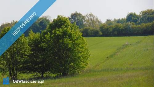 Syndyk Działka w miejscowości Ligota Woźnicka, miasto Woźniki