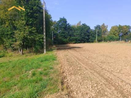 Atrakcyjna działka w Zborczycach