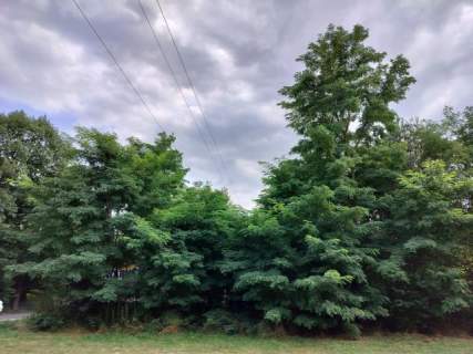 Działka budowlana na sprzedaż, 2000 m2, Strzeniówka