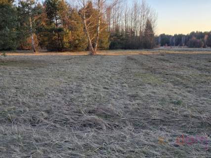 Na sprzedaż działki budowlano-rolne 10900 m2