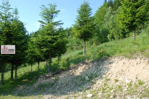 Widokowa, 1,4ha bud. z lasem, Maków Podhalański