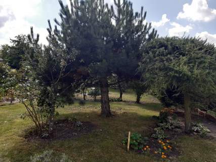 Działka RODOS ul.Wrzesińska na sprzedaż