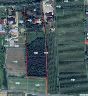 Siedlisko z dużym domem, działka budowlana 1,3 ha, ogrodzona