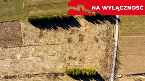 Działka budowlano-rolna 62 ar OŁPINY 