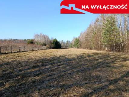 Działka budowlano-rolna 90 ar, Krzywe.