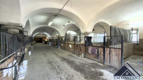 Dziedzictwo Stadniny Koni Strzegom