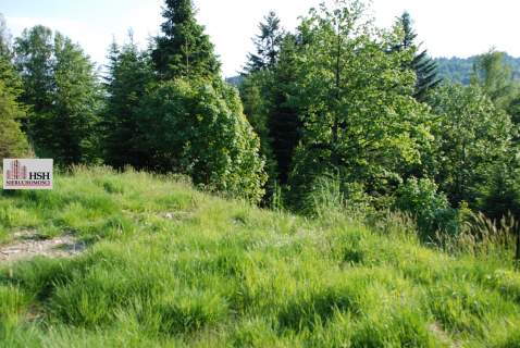 Widokowa, 1,4ha bud. z lasem, Maków Podhalański