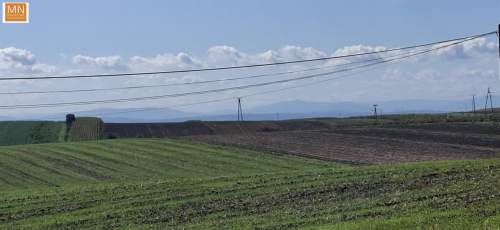 Koszyce,Rachwałowice,Działki 1,2142haROLNE