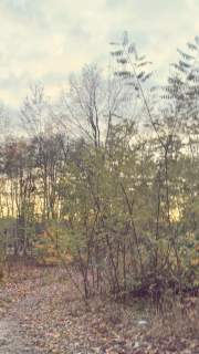 Kształtna działka minimum 991 m2