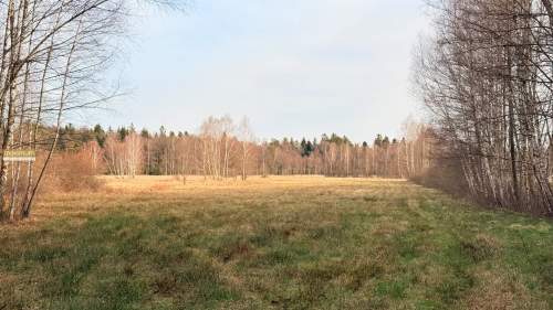 Działka w środku lasu z WZ Wolaniny