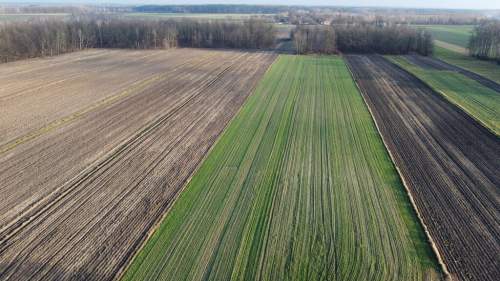 Działka 1182 m2 z WZ w Jabłonowie gm. Policzna.