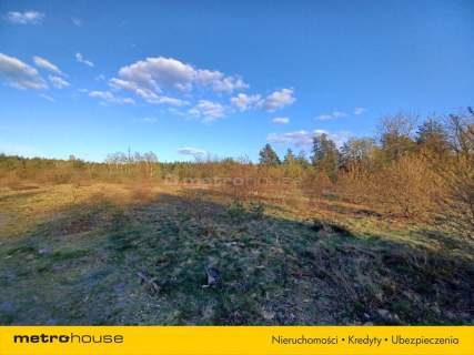 DUŻY TEREN INWESTYCYJNY 6800 m CHOSZCZÓWKA