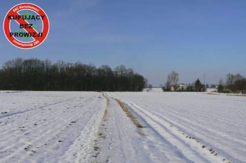 Krężnica Jara 8km od Lublina. 8000m2
