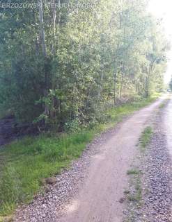 Nadarzyn, Strzeniówka, 2000 m2, MPZP wolnostojąca