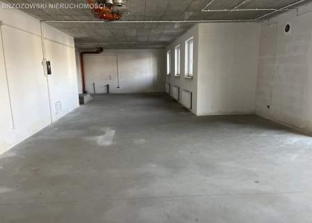 Marysin Wawerski, 108 m2,handlowy,usługowy, 2022 r