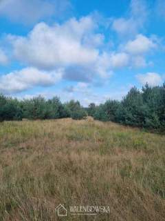 Działka 4000 m2 Smołdzino- idealna lokalizacja