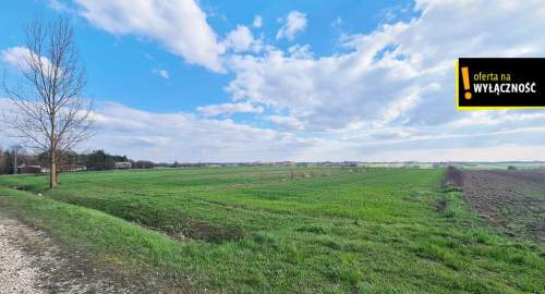Działka 10 800m2 Łubnice w otoczeniu pól, obok las