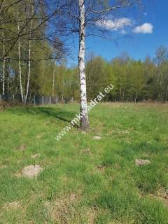 Działka - druga linia zabudowy