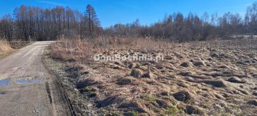 Działka przemysłowa Borek gmina Rzezawa