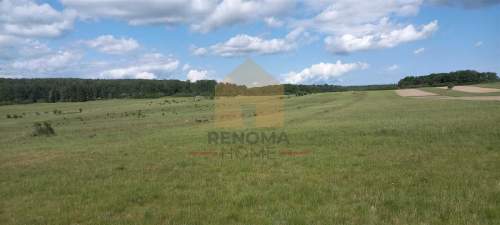 Działka rekreacyjna z lasem/1,13 ha