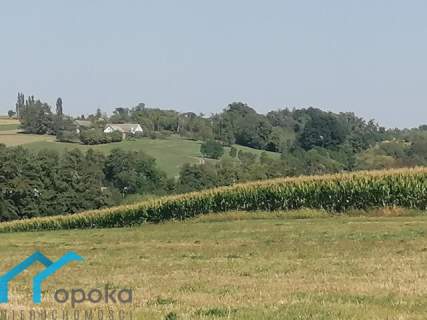 Działka inwestycyjna na sprzedaż, 10052 m2, Łączka