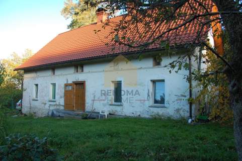Dom wolnostojący 