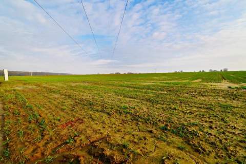 Działka rolno-budowlana - doskonała inwestycja 