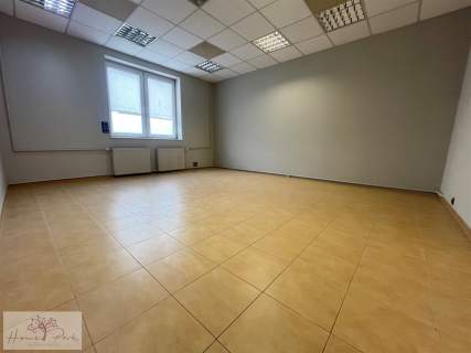 2 w 1 dom gotowa przestrzeń pod biznes - 160m2