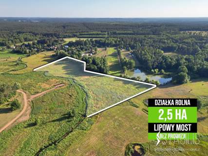 2,5 ha / Urokliwa Działka Rolna / LIPOWY MOST