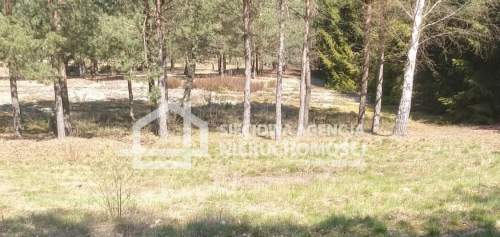 Działka 7053m2 Nierostowo/gm. Konarzyny