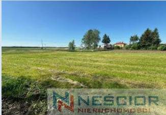 Działka 6700m2 na sprzedaż z siedliskiem