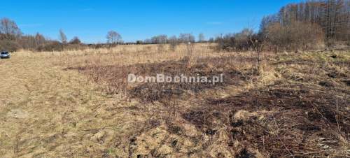 Działka przemysłowa Borek gmina Rzezawa